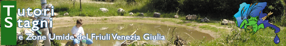 Tutori Stagni e Zone Umide del Friuli Venezia Giulia Rotating Header Image